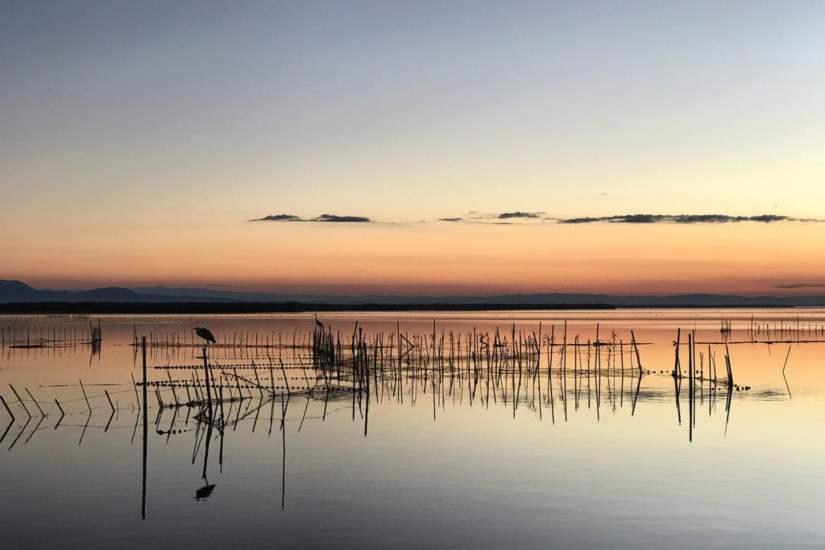 Ruta sales bici albufera