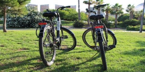 how-are-gears-going-bike how-are-gears-going-bike