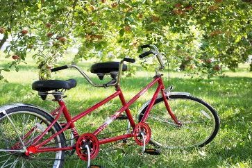 rent-tandem-bike