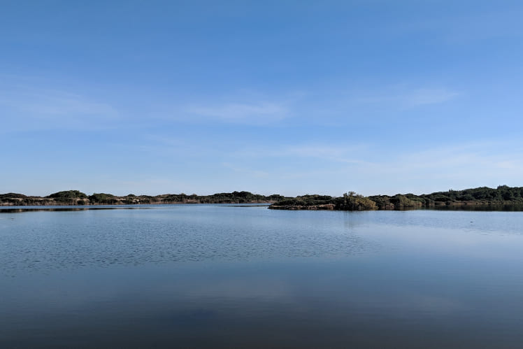 the albufera of valencia, a lovely place