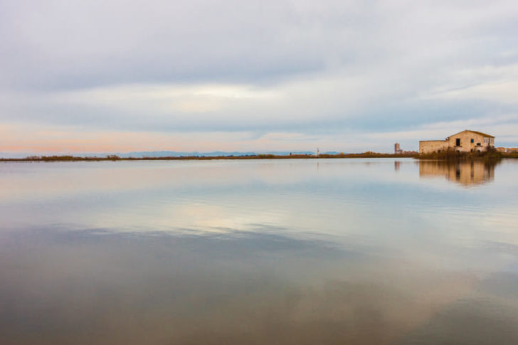albufera valencia ride a bike through Albufera